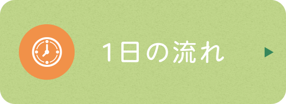 1日の流れ